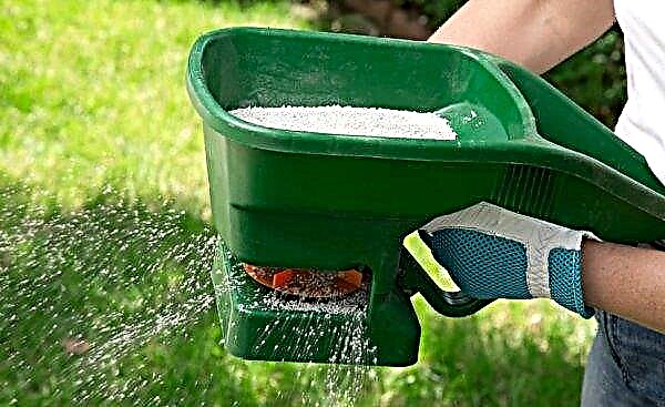 Engrais pour pelouse: comment nourrir et fertiliser le gazon en été, en automne et au printemps, le meilleur pansement liquide, à quelle fréquence et quand fertiliser