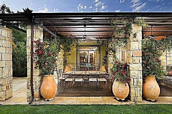 Amfora w projektowaniu krajobrazu: jak wybrać rośliny i dzbanek do projektowania, jak zrobić strumyk kwiatów i patio jako element projektu, zdjęcie