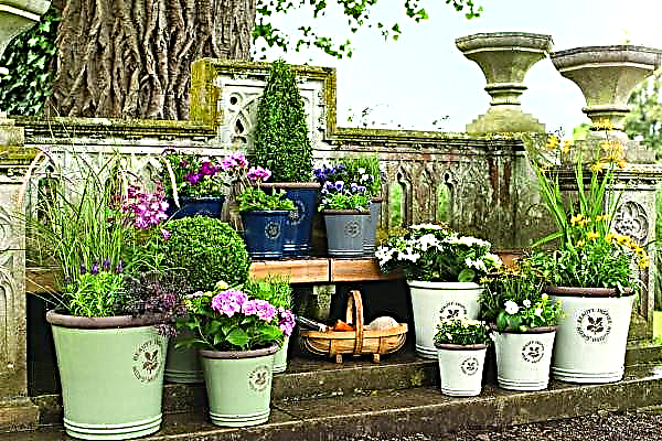 Kraštovaizdžio gėlių vazonai: rūšys, medžiagos ir montavimo būdai, kurias gėles pasirinkti sodinti vazose, nuotraukos