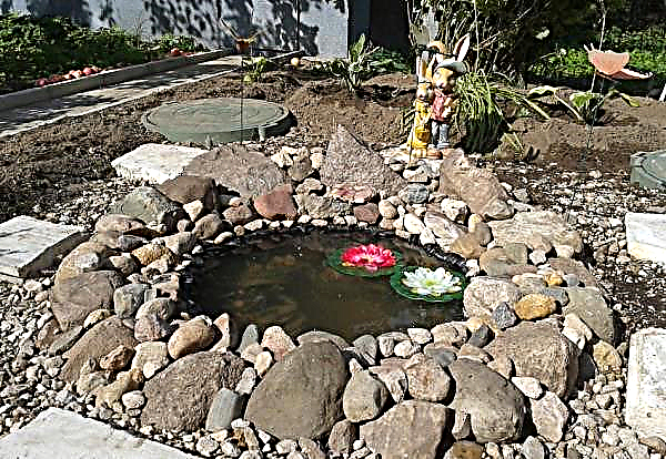 Decorative cottage pond from a wheel: how to make it yourself on a site from a tractor tire, step-by-step creation technology