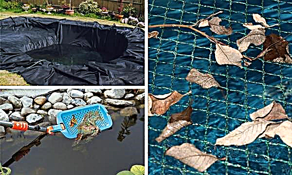 Hvorfor det er gjørmete vann i dammen: hvordan du kan rense et tjern med fisk, verktøy og rengjøringsprodukter