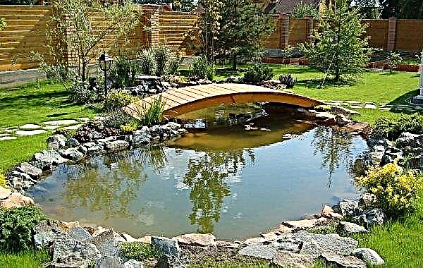 La distancia del estanque a la cerca de los vecinos: desde el límite del sitio, desde otros objetos, requisitos para colocar el estanque en el sitio, características de diseño