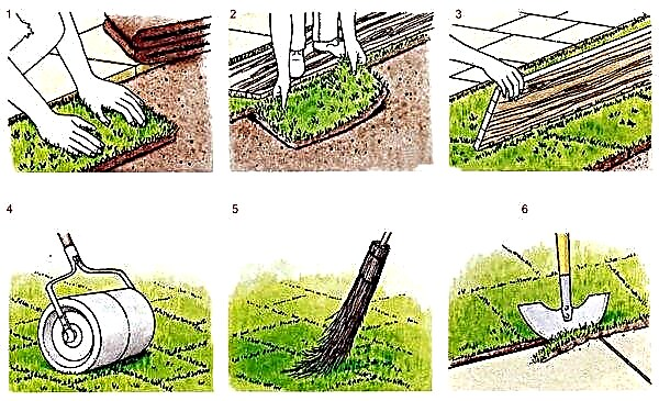 Comment préparer le sol pour une pelouse roulée: préparer le sol pour la pose par soi-même, fertiliser avant la pose, quel sol est nécessaire