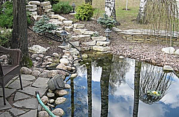 Decoração do lago de pedra: como decompô-los, como escolher uma pedra (grande, pequena ou plana), onde obter pedras