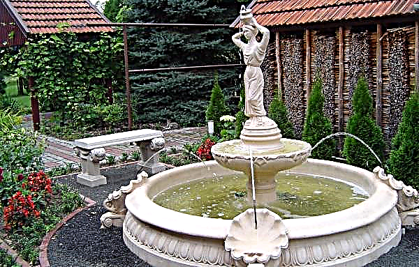 Dekorative Brunnen und Wasserfälle für zu Hause: Herstellung eines künstlichen Wasserfalls und Brunnens für den Garten, ihre Fotos auf dem Hof ​​des Hauses