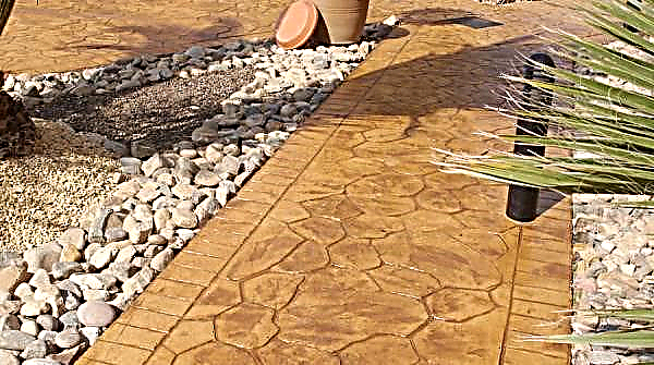 Caminhos de concreto no país: como fazer você mesmo em um jardim de cimento, instruções passo a passo para concretagem, como derramar a baixo custo
