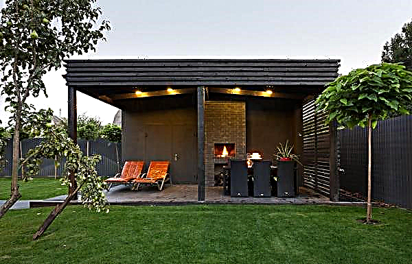 Arbor in the style of hi-tech: photos and creating a modern gazebo with barbecue do-it-yourself, decorating with other elements