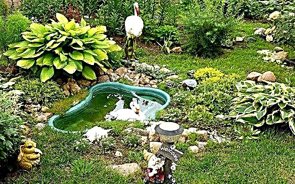 Ponds from HDPE: how to install a finished plastic pond in the country with your own hands, a photo of the design and design of a decorative pond made of plastic