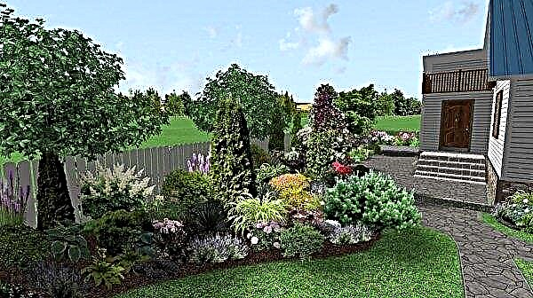 المناظر الطبيعية لقطعة كوخ من 5 فدان: ديكور فناء منزل ريفي ، وصور وأمثلة على ديكور منطقة مستطيلة مع حديقة