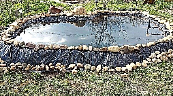 Cómo hacer un estanque a partir de una pancarta para que no se filtre, hágalo usted mismo en el país, fotos y reseñas