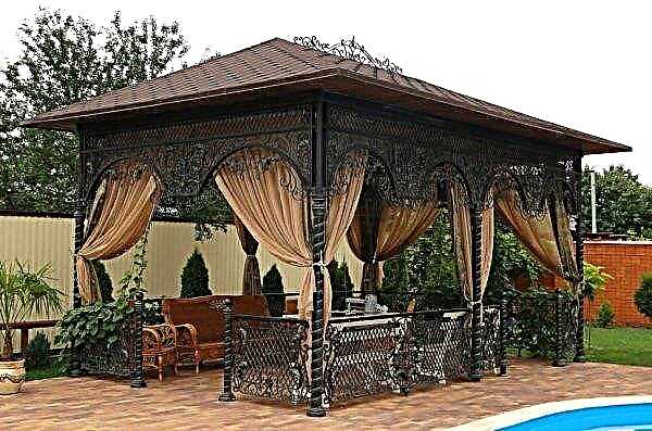 Canopy arbor: how to build near the house with your own hands; types of country canopies attached to the house on the site; photos and ideas