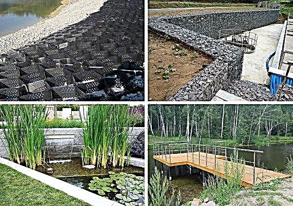 Prehĺbenie rybníka pre domácich majstrov: čistenie rybníkov bagrom, posilnenie pobrežia, ako sa prehĺbi bez vypustenia vody