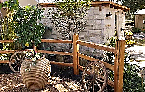 Country style in landscape design: photos and elements of a rustic style near the house, the rules for creating a summer cottage in the village with your own hands