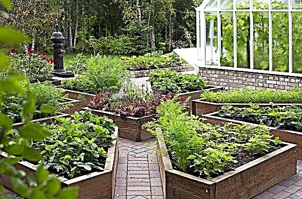 Aménagement d'une maison de campagne, jardin: styles de jardins privés, lits modernes, comment faire un design de jardin de vos propres mains