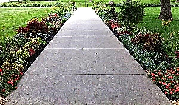 Drene el concreto para un camino de jardín: cómo hacer un camino con sus propias manos, instrucciones paso a paso con una foto
