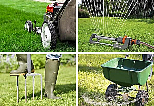 What is a lawn: its definition and concept, can lawn grass propagate independently