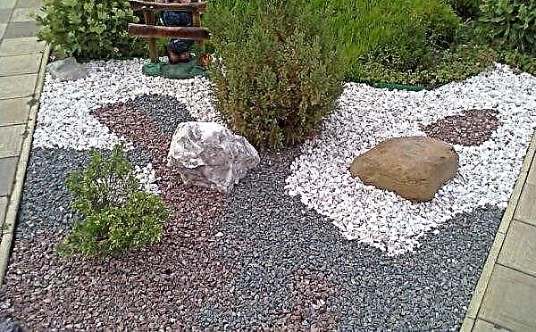 Lascas de pedra no projeto da paisagem: como colocar cores e decoração, o uso de mármore e granito, uma foto na paisagem
