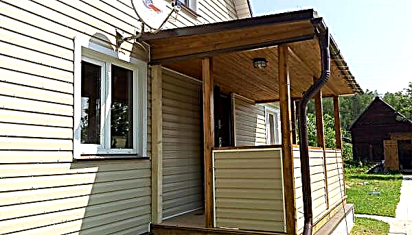 Hogyan lehet a verandát kívülről oldalt lefedni, olcsó és szép: fotó egy dekorációs házban egy házban, hogyan lehet jobban befejezni a fémkeretet, a terasz külső felülete