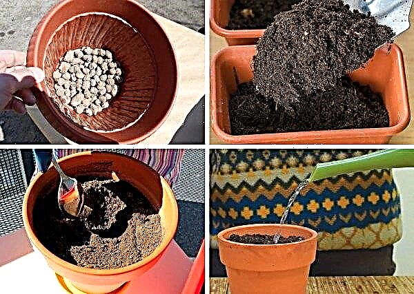 Pots en aménagement paysager: comment faire un mini-design de vos propres mains, des photos et des variétés de pots, quelles plantes planter, comment choisir le bon pot