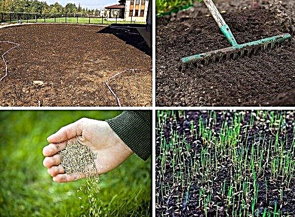 Jak usunąć trawnik: jak kosić własnymi rękami; jak wymienić stary na nowy bez kopania, jak szybko pozbyć się trawnika w letnim domku