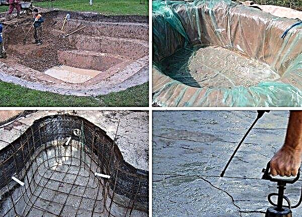 Comment garder l'eau dans un étang: que faire si un étang est creusé et que l'eau sort; comment creuser pour que l'eau ne disparaisse pas; comment imperméabiliser