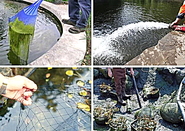 나라에서 스스로 할 폭포 : 부지에 돌로 만든 정원 연못을 설치하는 방법, 조경 디자인의 사진 및 아이디어, 정원 및 공원 단지 옵션