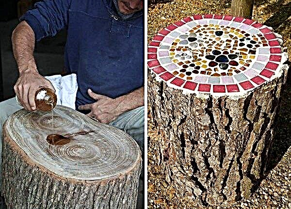 Stump in landscape design: a photo of stumps, how to use hemp in design