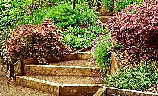 Landscaping with a difference in elevation: the design of the slope with a photo, options for strengthening the site of a country house with uneven relief do-it-yourself