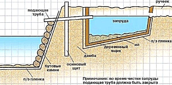 Hogyan készítsünk tót egy szakadékban egy helyszínen saját kezével: hogyan lehet megtervezni és elkészíteni egy patakból, hogyan lehet ásni naplóban