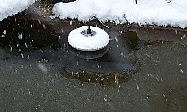 A pond at the dacha in winter: how to prepare a home plastic pond for winter, than to cover a decorative artificial pond, what to do at the dacha for wintering