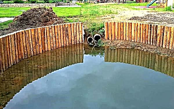 Do-it-yourself drainage pond in a wet area: what materials are needed like drainage, pond formation and interior decoration