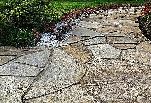 الحجر الرملي لمسارات الحديقة: وضعه بيديك في البلد ، صورة لمسار خطوة بخطوة على حديقة في الحديقة