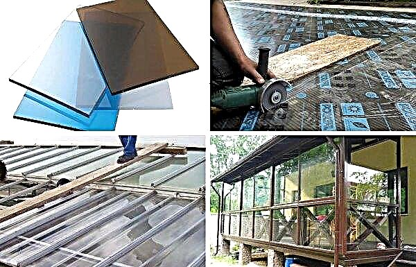 Polycarbonatdach für Veranda und Terrasse: Welches Material ist am besten zu wählen, wie es selbst gemacht wird, Anweisungen auf dem Foto, Dicke des monolithischen Daches