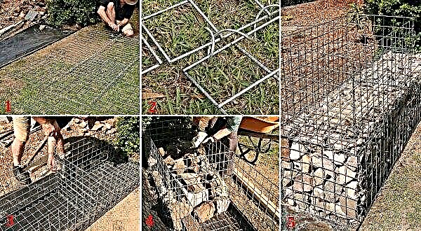 Gabions in landscape design: how to do it yourself, advantages and disadvantages, their application and photos