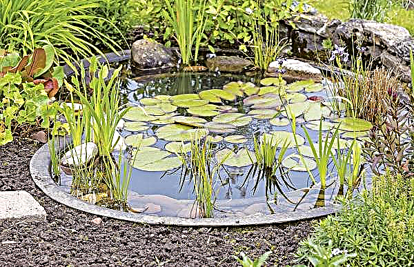 Varieties of bowls for a garden pond: which is better to take, what size