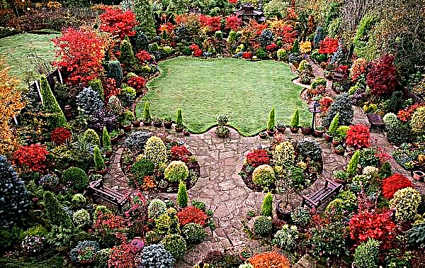 Landscaping in Europe: a description of the European style, photos of the plot and garden