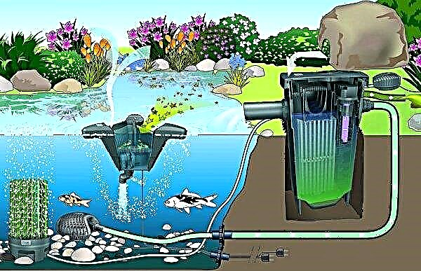 Comment remplir un étang: comment remplir un étang avec de l'eau, s'il n'y a pas de sources, comment remplir un étang pour la pisciculture
