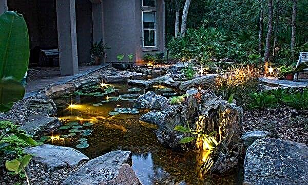Backlight for a decorative pond: how to do it yourself in the country for a fountain, underwater LED lights and floating light, photo lighting