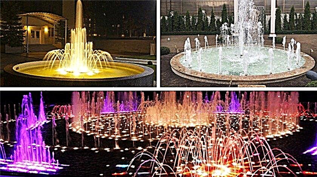 Design features of decorative fountains, what forms they have, their photos in landscape design