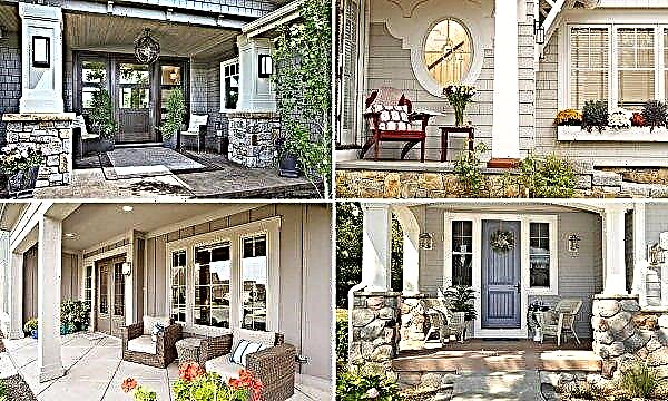 Landscaping near a private house with a porch: selection and preparation of materials, varieties of the porch, design, photo