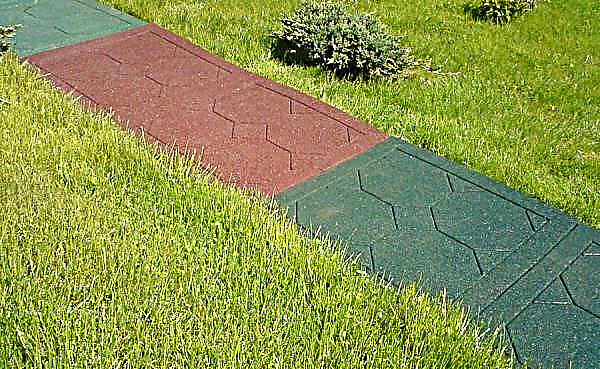 Rubber paths for giving: how to lay up roll coverings with your own hands, how to make a garden path from crumbs