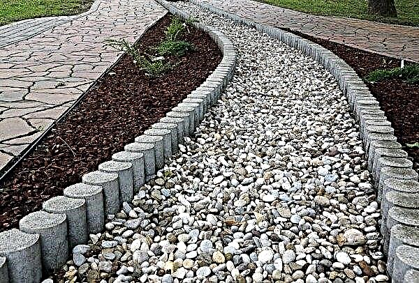 Advantages of crushed stone garden paths: how to make paths of gravel or crushed stone at the cottage with your own hands, technology, photo