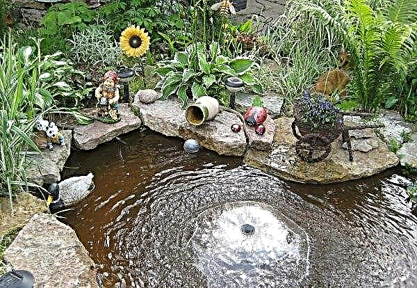 噴水と装飾的な池：DIYの製造、プラスチック製の人工的な田舎の池を選択して設置する方法