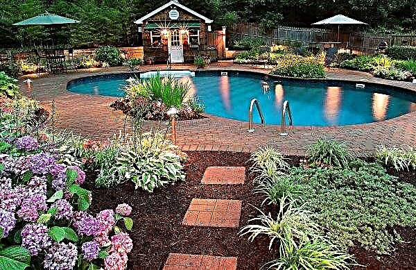 Landscaping near the pool: photo frame and prefabricated, how to make a do-it-yourself zone in the country