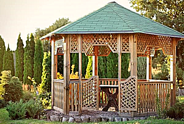 How to paint a gazebo made of wood: how beautiful it is to coat and process boards on a street gazebo so as not to lose the texture, what color to paint with the photo