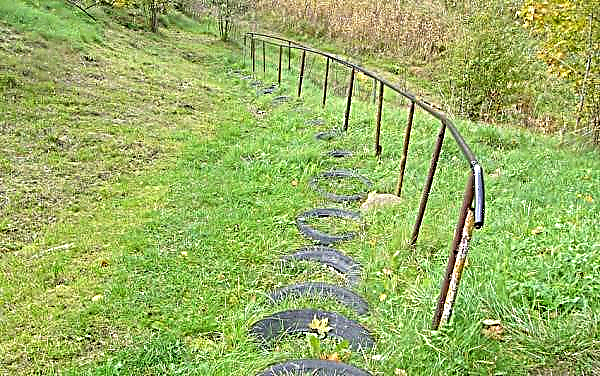 Do-it-yourself garden paths from tires: how to make from old car tires, a photo at the cottage in the garden