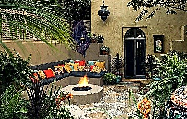 Moorish style in landscape design: Moorish lawn on the site, nuances in the design of the garden, photo