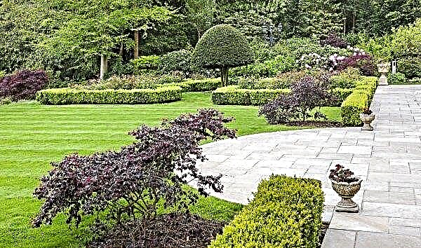 Classical landscape: a French garden in landscape design and a regular style of landscape art, photos and differences