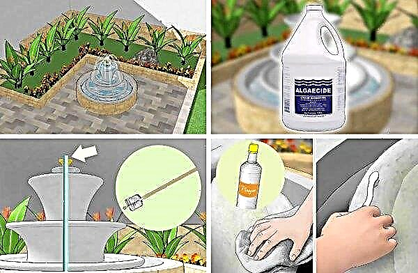 How to clean the fountain: how and how to clean the fountain