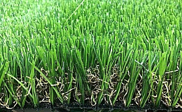 Laying artificial turf: how to lay it on the ground with your own hands, the technology of laying grass on the football field, preparing the foundation